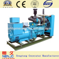 Yuchai 400kva Diesel Generator Set